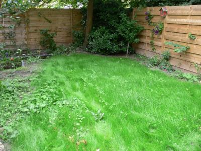 gras